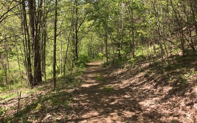 Hiking Trail